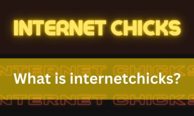 internet chicks